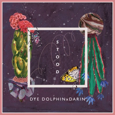 Dye Dolphin/한수연 Stood