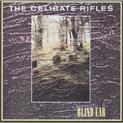 歌手 The Celibate Rifles