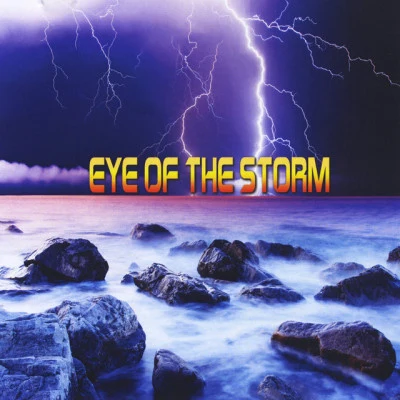 Eye Of The Storm 歌手