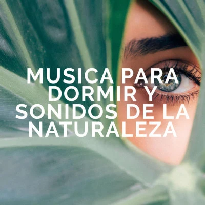 Musica Para Dormir y Sonidos de la Naturaleza 歌手