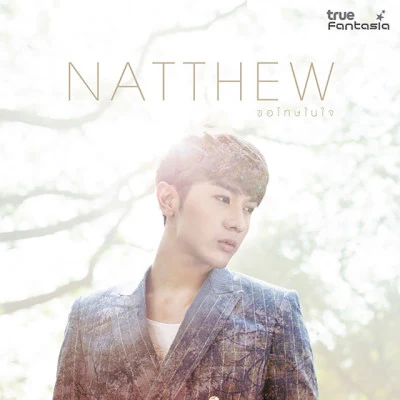 Natthew 歌手