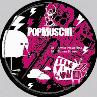 Popmuschi 歌手