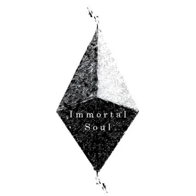 Immortal Soul 歌手