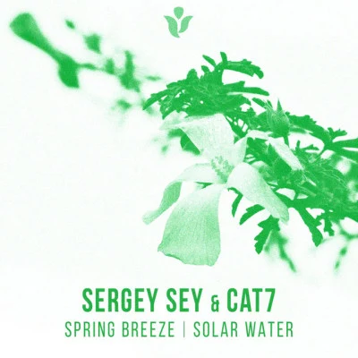 Sergey Sey 歌手