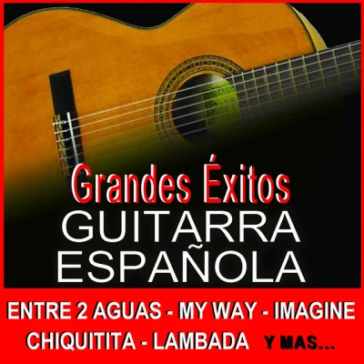 Salvador Andrades/Dionisio Aguado/Alberto Fernández/Ramirez/Various flamenco guitarrist 吉他 弗拉门戈