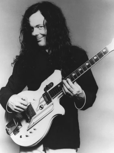 歌手 David Lindley