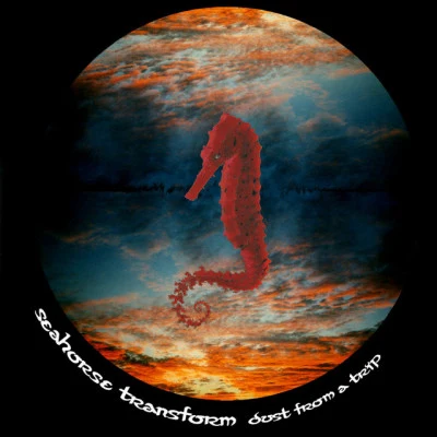 Seahorse Transform 歌手