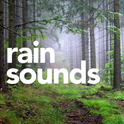 Rain Sounds 歌手