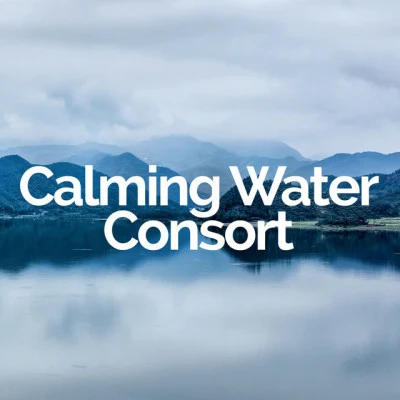 Calming Water Consort/Meditation Music Zone best selection of nature water sounds (cal名sound therapy for deep sleep relaxation, meditation, spa, massage, well-being)